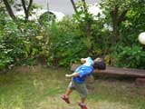 テラス